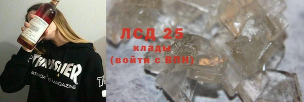 прущие грибы Красноперекопск