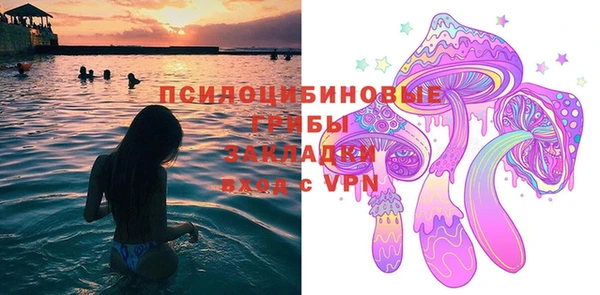 mdpv Краснослободск
