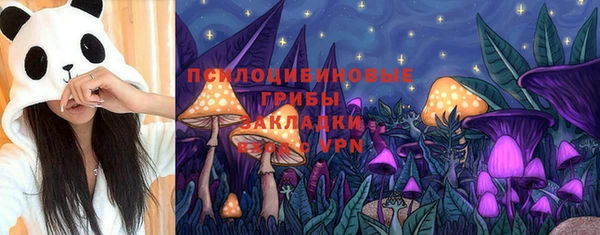 прущие грибы Красноперекопск